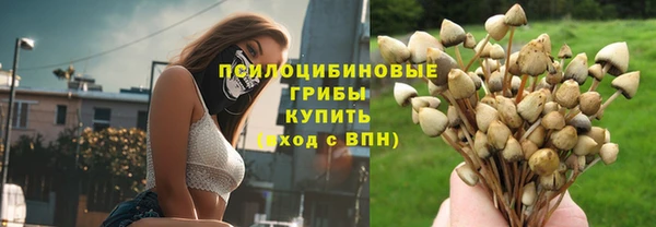 мяу мяу мука Баксан