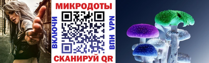 Псилоцибиновые грибы мухоморы  купить наркотик  Волгореченск 